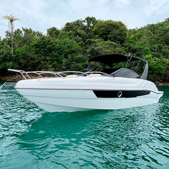 CORAL 26